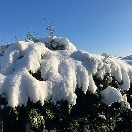 Ferien Am Hofe Leilighet Hainewalde Eksteriør bilde